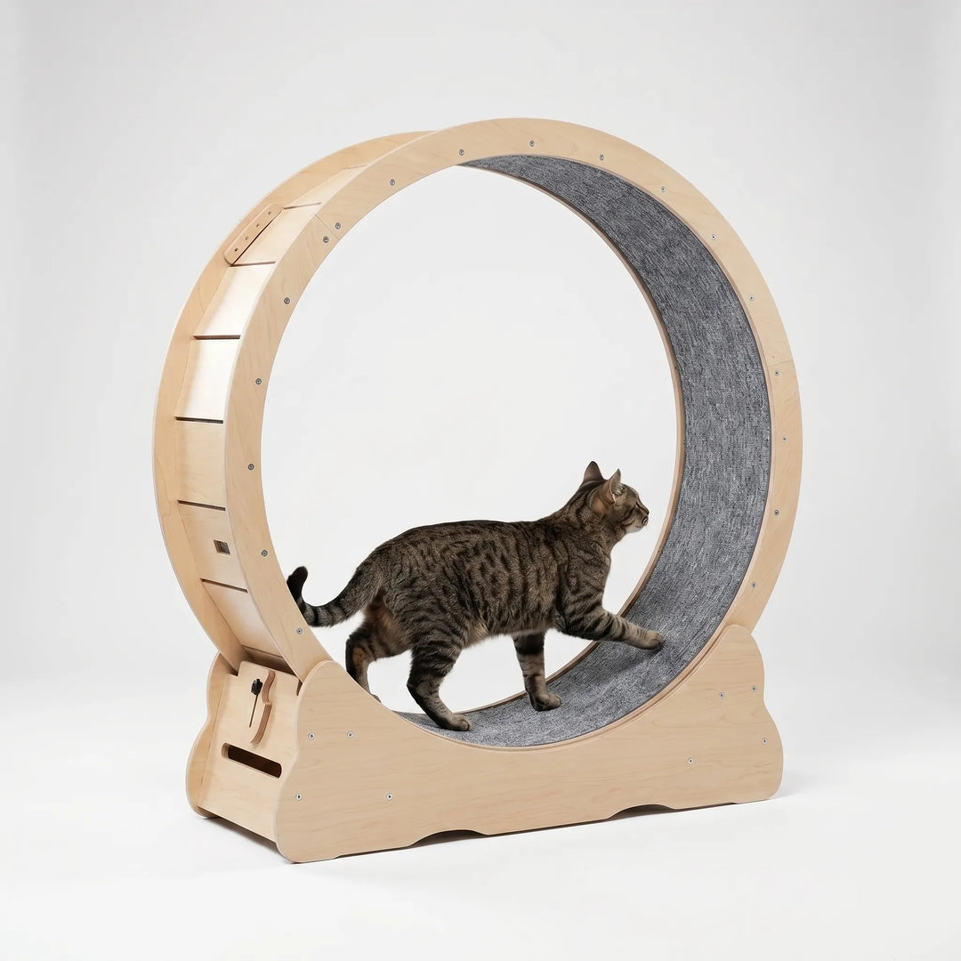 Großes Laufrad Für Hauskatzen -  CatWheelo