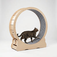 Großes Laufrad Für Hauskatzen -  CatWheelo