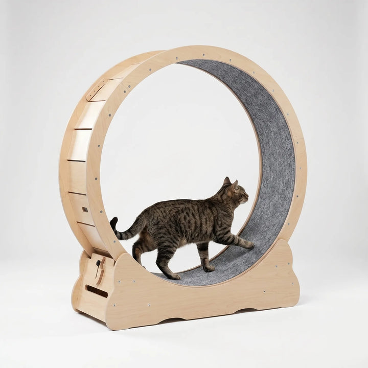 Großes Laufrad Für Hauskatzen -  CatWheelo