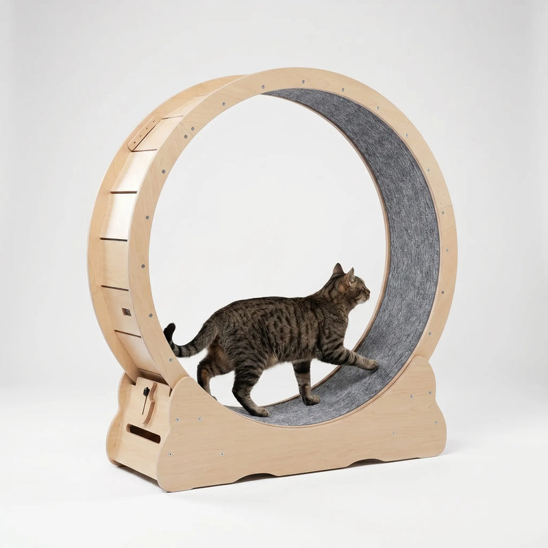 Großes Laufrad Für Hauskatzen -  CatWheelo