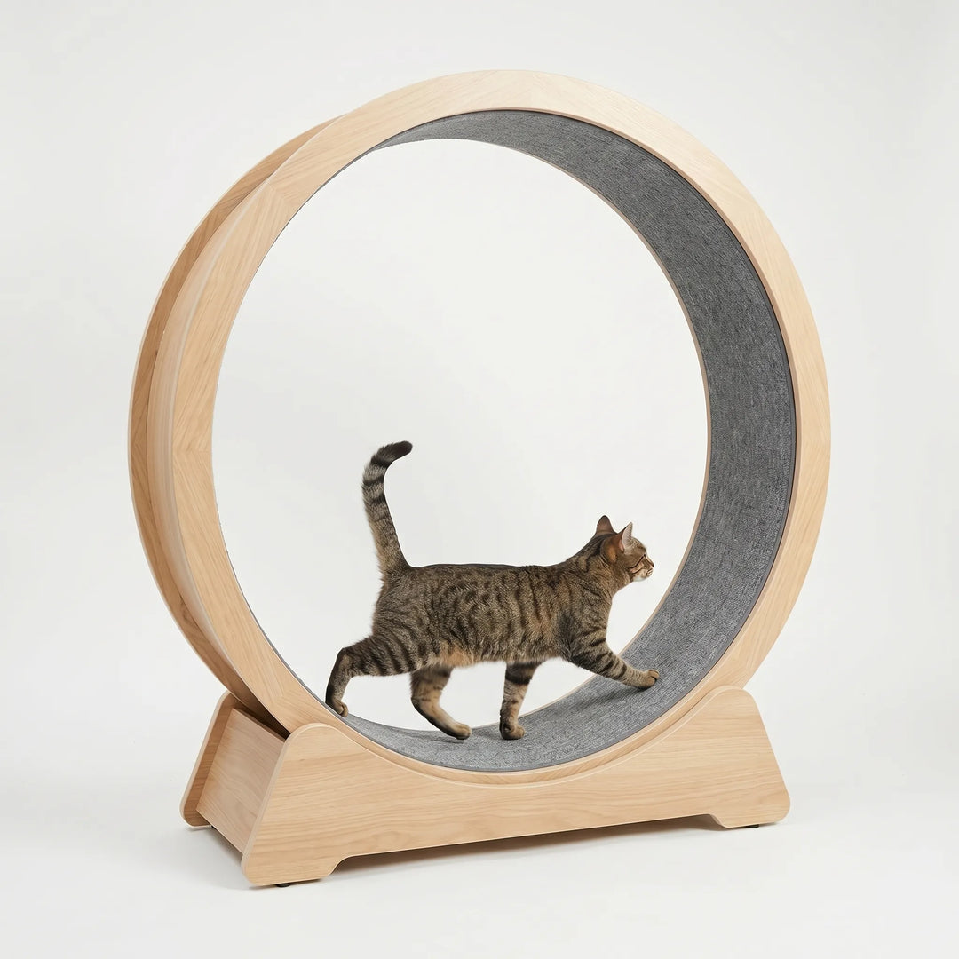 Großes Laufrad Für Hauskatzen -  CatWheelo