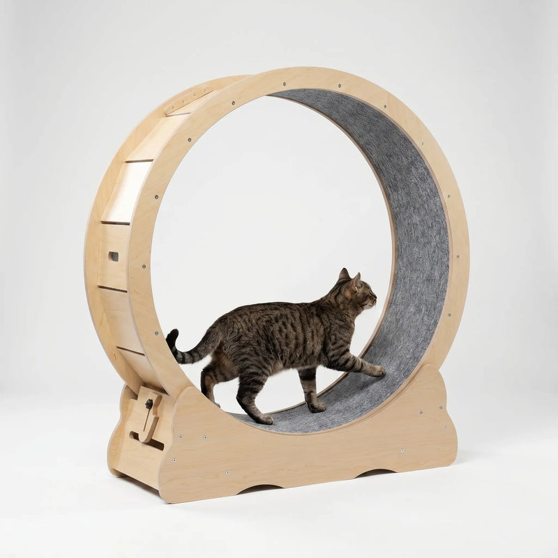 Großes Laufrad Für Hauskatzen -  CatWheelo