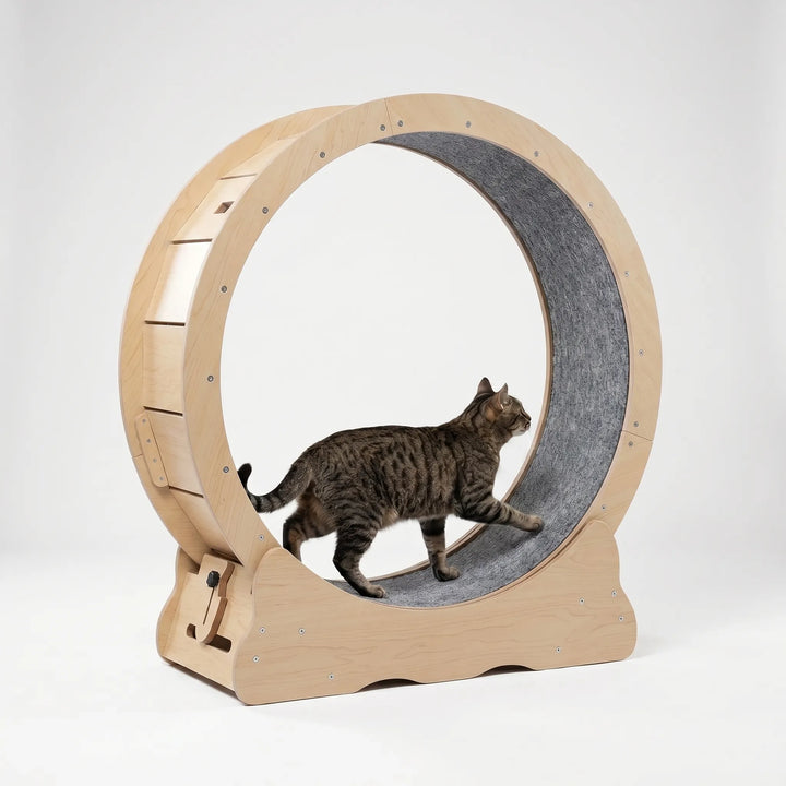 Großes Laufrad Für Hauskatzen -  CatWheelo