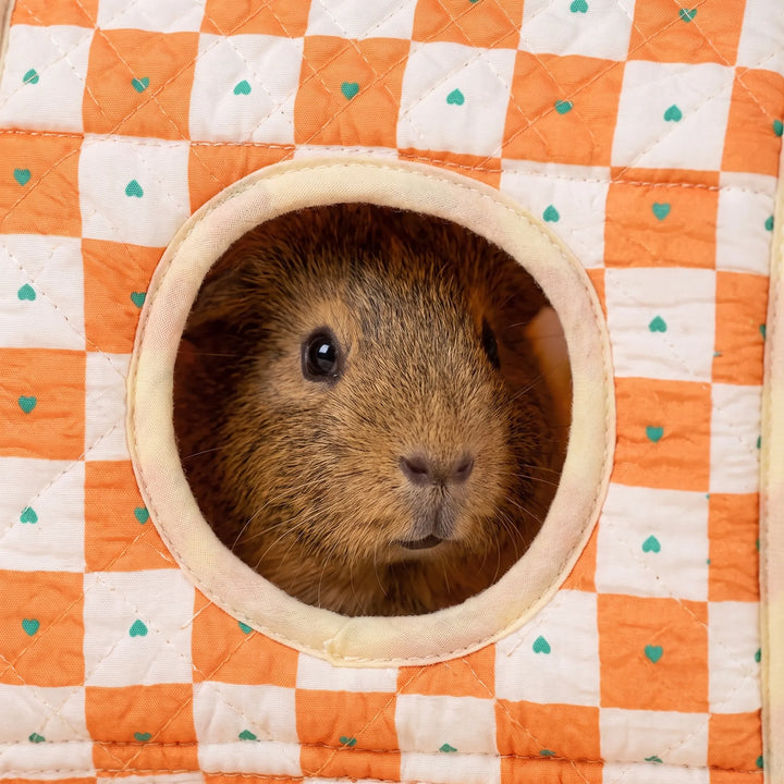 Halboffener Kleintiertunnel -  PetOasis