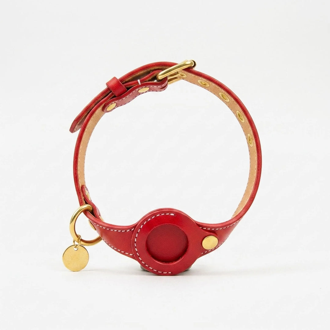 Halsband Mit Integrierter Halterung -  Rovix
