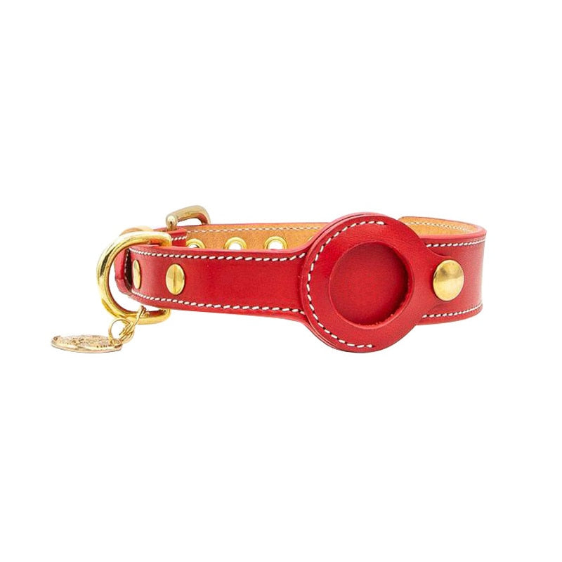 Halsband Mit Integrierter Halterung -  Rovix