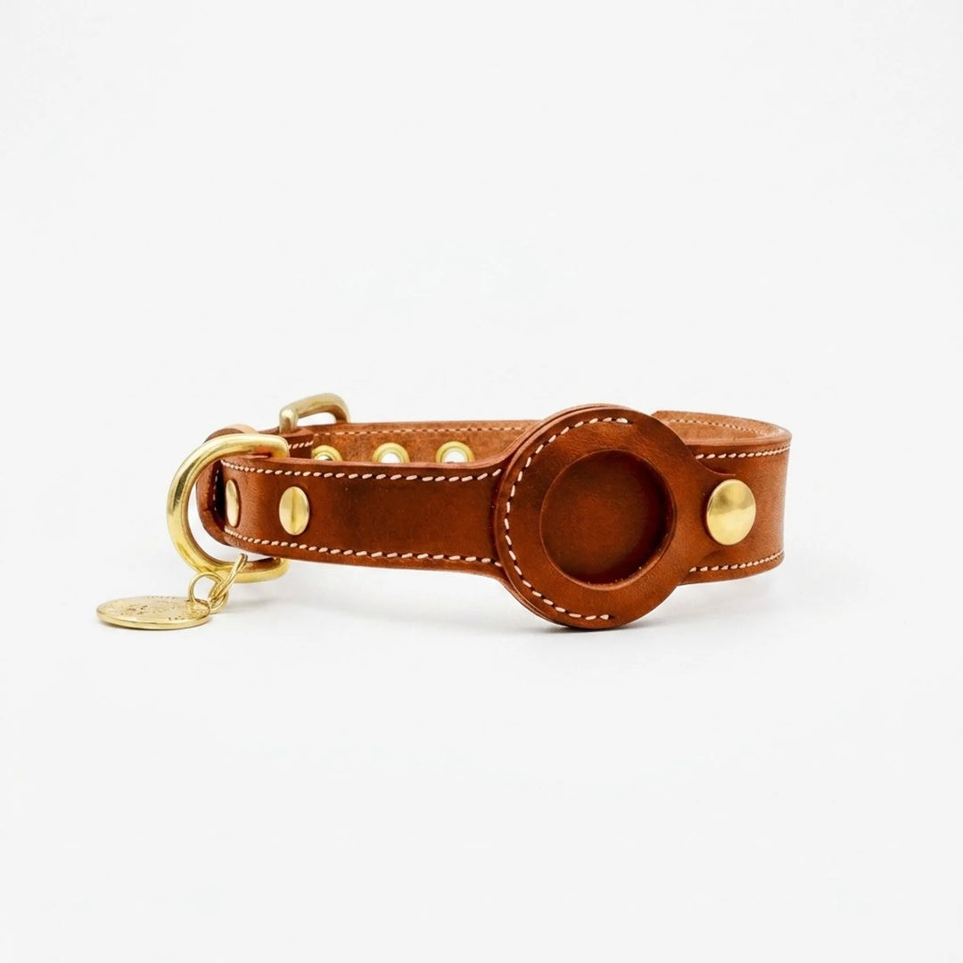 Halsband Mit Integrierter Halterung -  Rovix