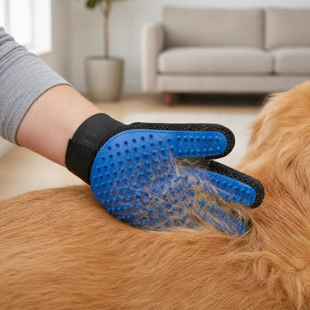 Handschuh Mit Noppen Für Tierpflege -  PawSmooth