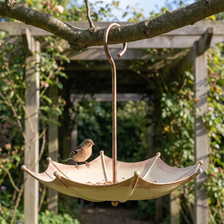 Hängende Vogelfutterstelle In Schirmform -  AvianUmbrella