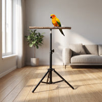 Höhenverstellbarer Vogelständer -  Wingar