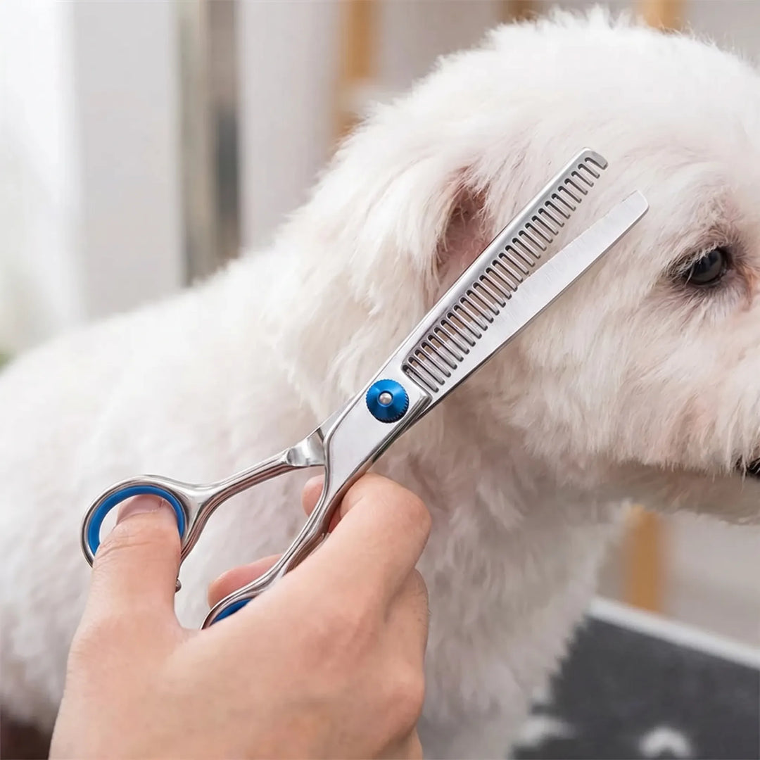 Hundefriseurschere Mit Rundkopf Für Präzision -  GroomEdge