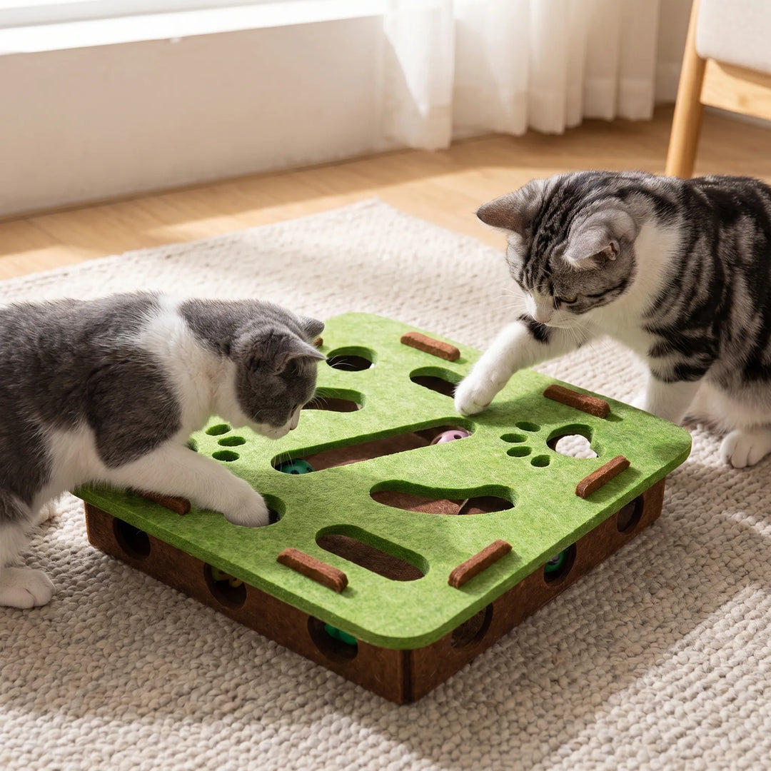 Interaktive Katzen-Puzzlebox -  Catchio