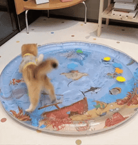 Interaktive Katzenspielmatte -  Wavix