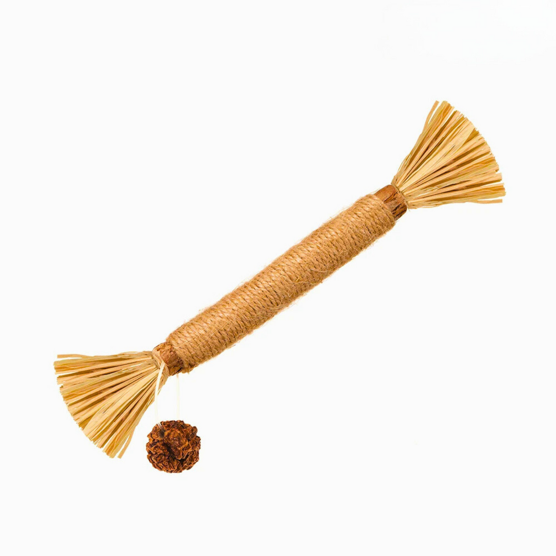 Interaktive Kaustangen -  Chompix