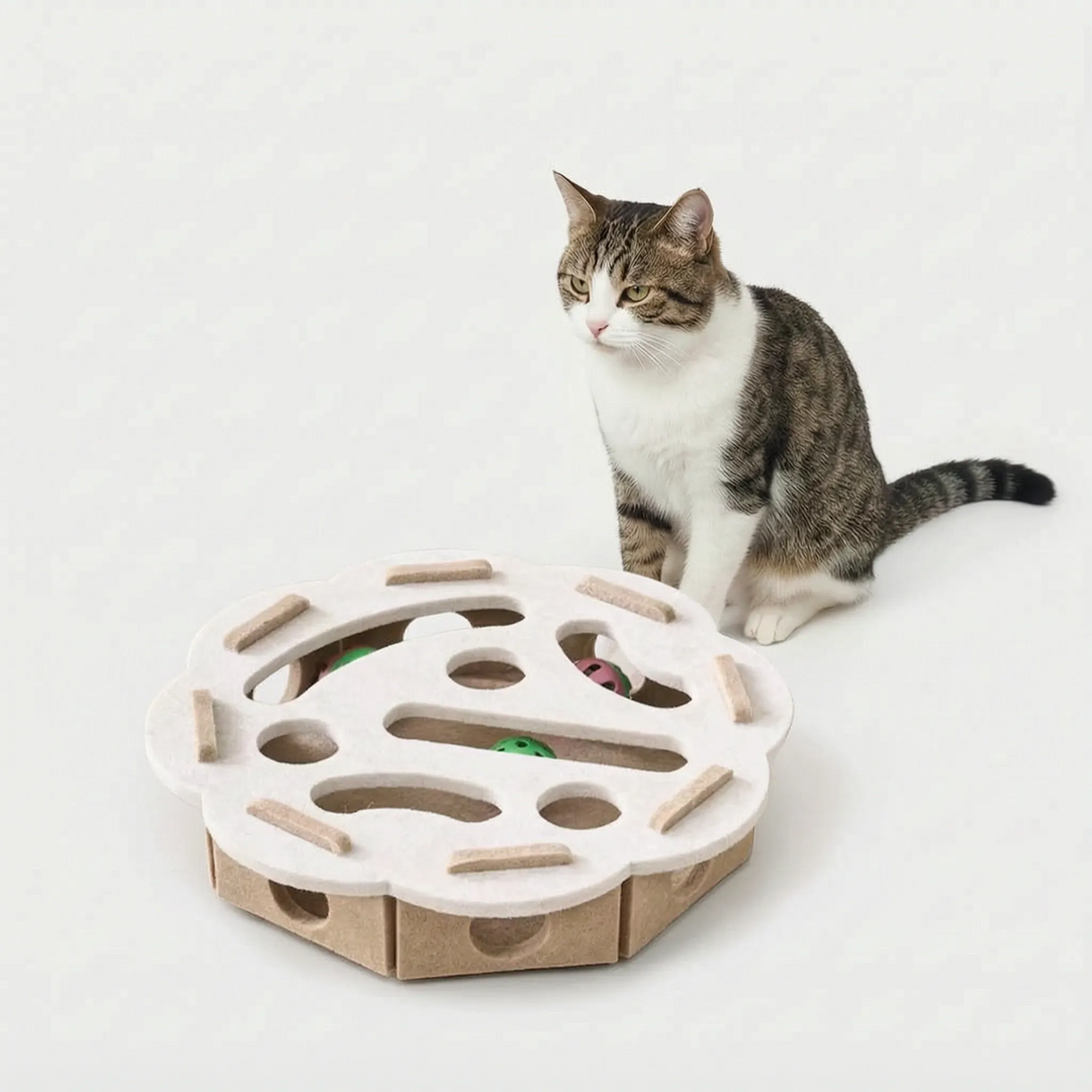 Interaktive Puzzlebox Für Katzen -  Puzzio
