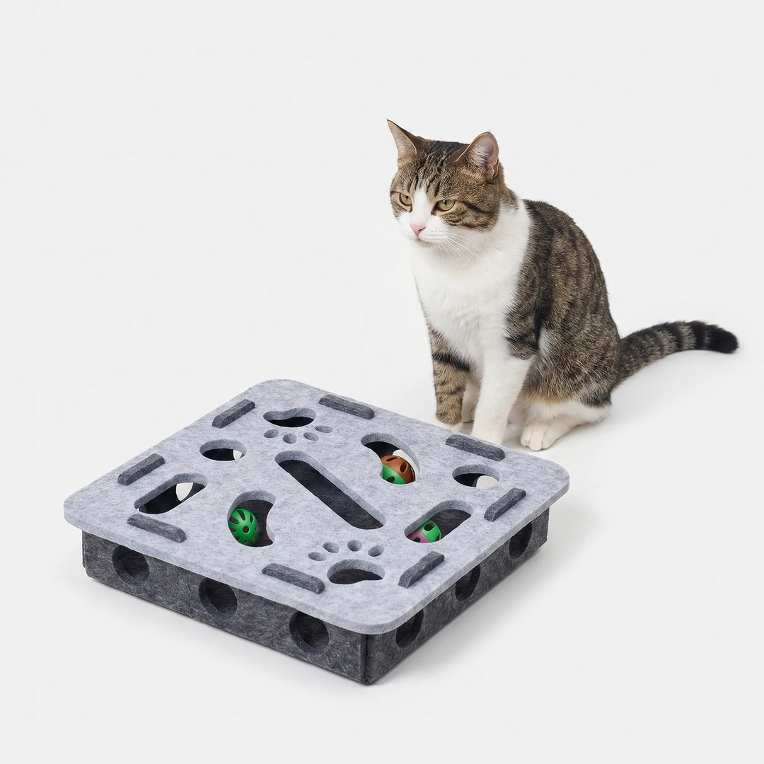 Interaktive Puzzlebox Für Katzen -  Puzzio