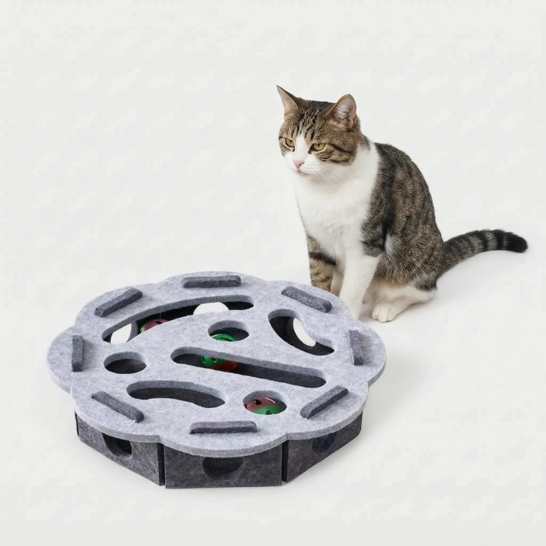 Interaktive Puzzlebox Für Katzen -  Puzzio