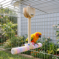 Interaktive Vogelsitzstange -  BirdSwing