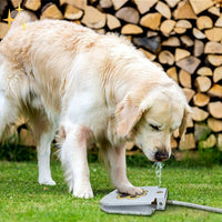 Interaktive Wasserfontäne Für Hunde -  Hydramiq