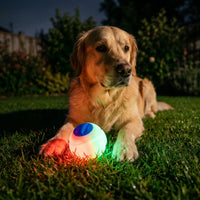 Interaktiver Leuchtender Hundeball -  Glowix