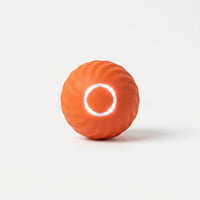 Interaktiver Rollball Für Hunde -  Rollix