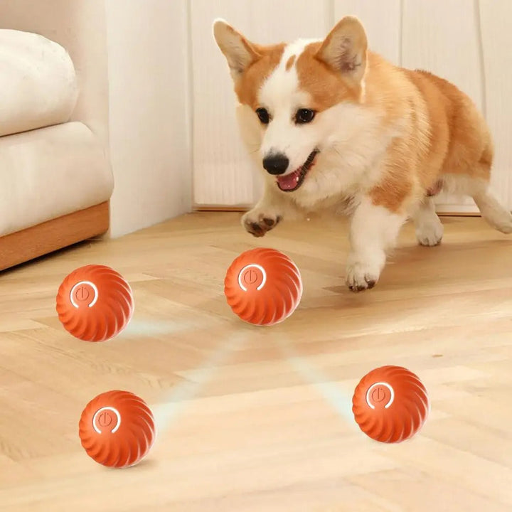 Interaktiver Rollball Für Hunde -  Rollix