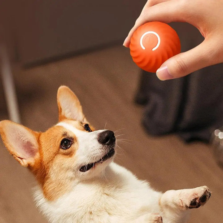 Interaktiver Rollball Für Hunde -  Rollix
