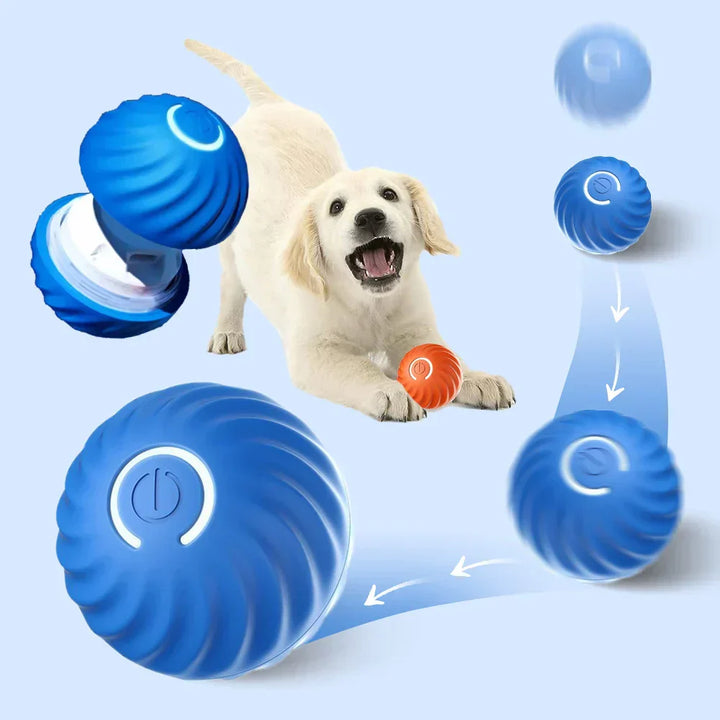 Interaktiver Rollball Für Hunde -  Rollix