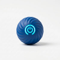 Interaktiver Rollball Für Hunde -  Rollix