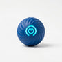 Interaktiver Rollball Für Hunde -  Rollix