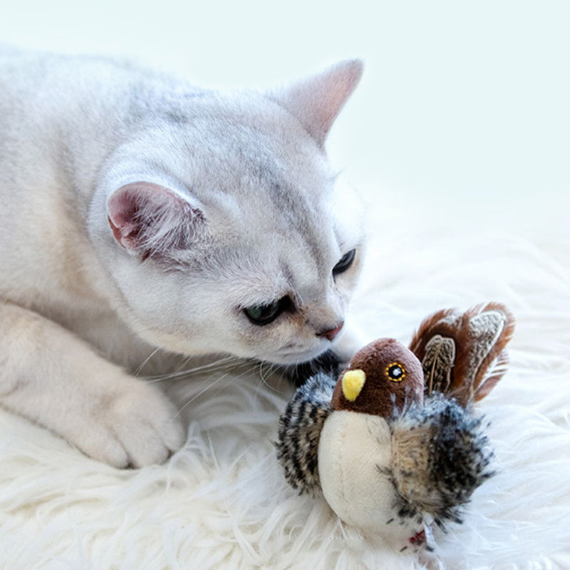 Interaktives Elektronisches Katzenspielzeug -  Bouncis