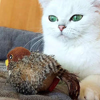 Interaktives Elektronisches Katzenspielzeug -  Bouncis