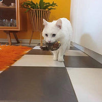 Interaktives Elektronisches Katzenspielzeug -  Bouncis