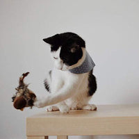 Interaktives Elektronisches Katzenspielzeug -  Bouncis
