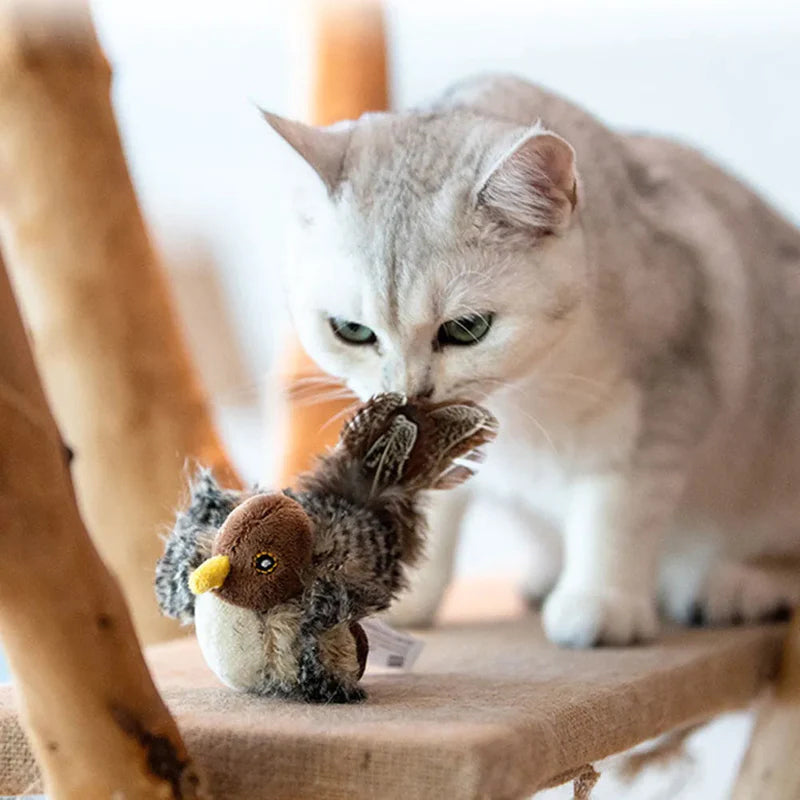 Interaktives Elektronisches Katzenspielzeug -  Bouncis
