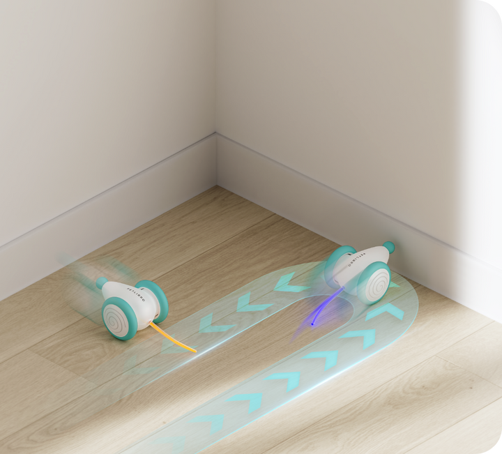Interaktives Elektronisches Katzenspielzeug -  Zoomino