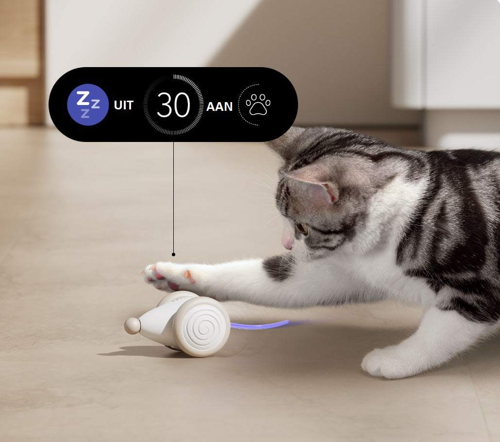 Interaktives Elektronisches Katzenspielzeug -  Zoomino