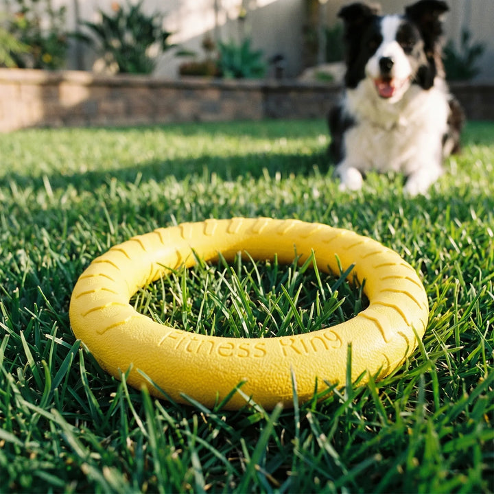 Interaktives Hundespielzeug-Set -  Chomprox