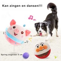 Interaktives Hundespielzeug -  Bouncigo