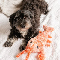 Interaktives Hundespielzeug -  Wiggli