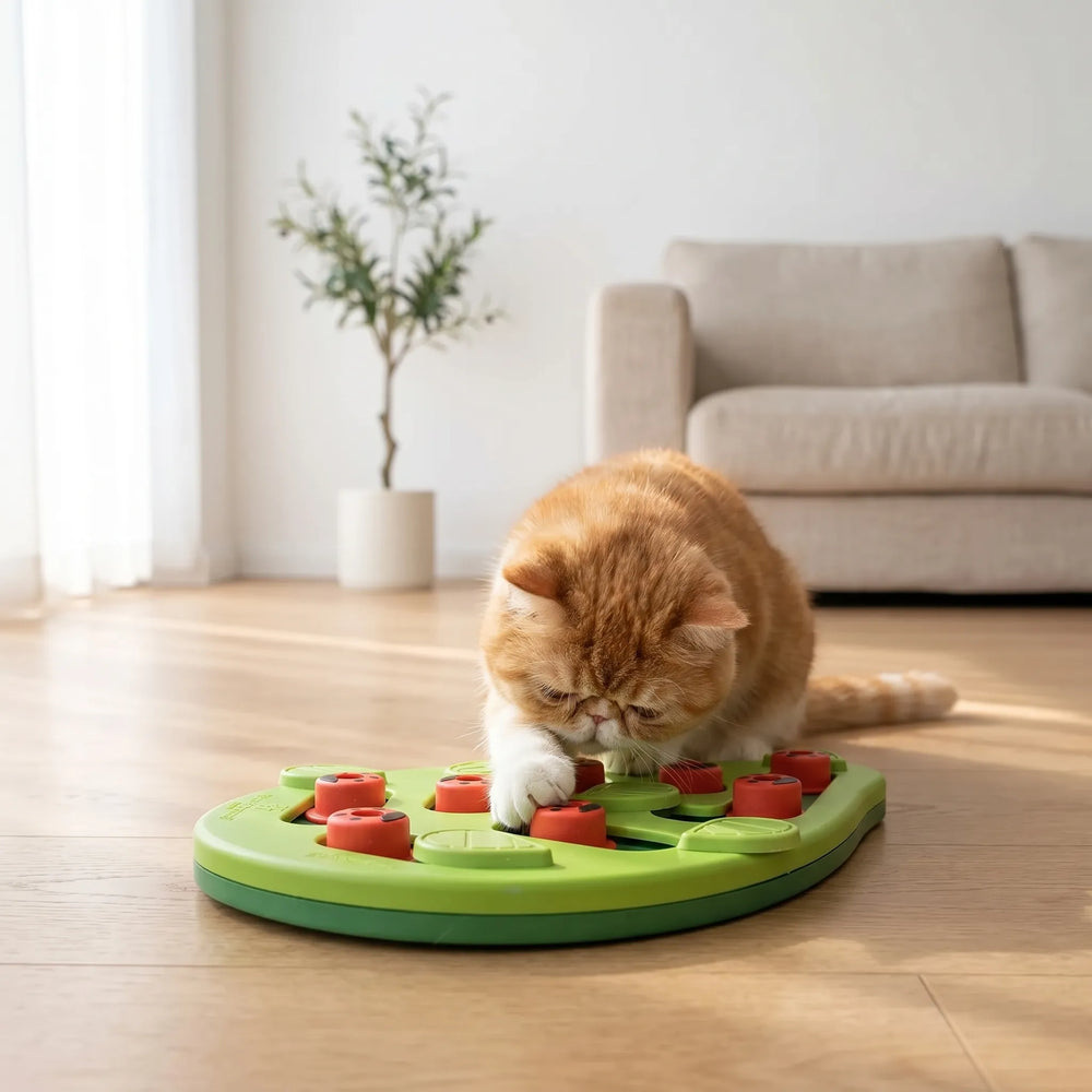 Interaktives Katzen-Beschäftigungspuzzle -  PawPuzzle