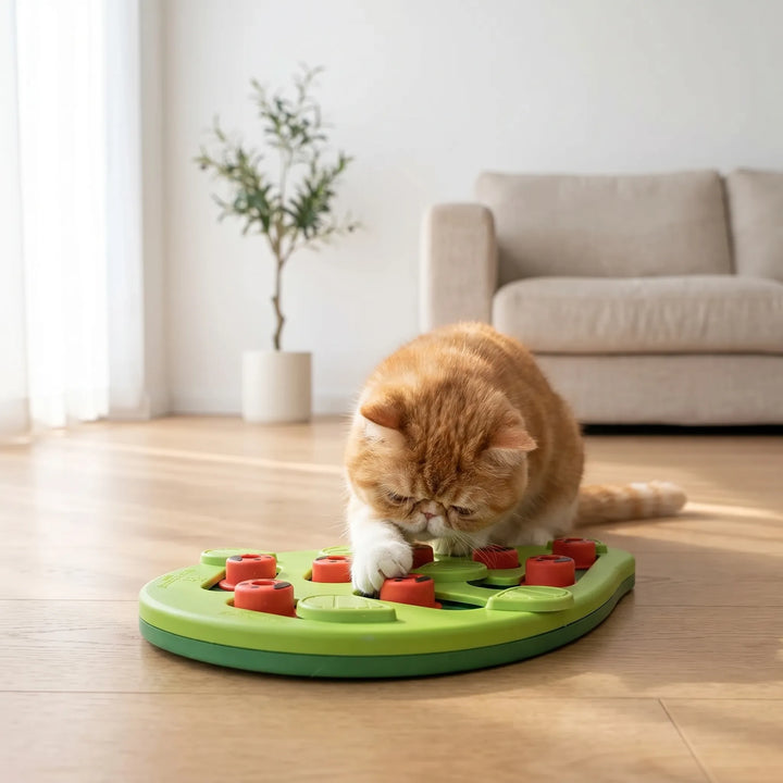 Interaktives Katzen-Beschäftigungspuzzle -  PawPuzzle