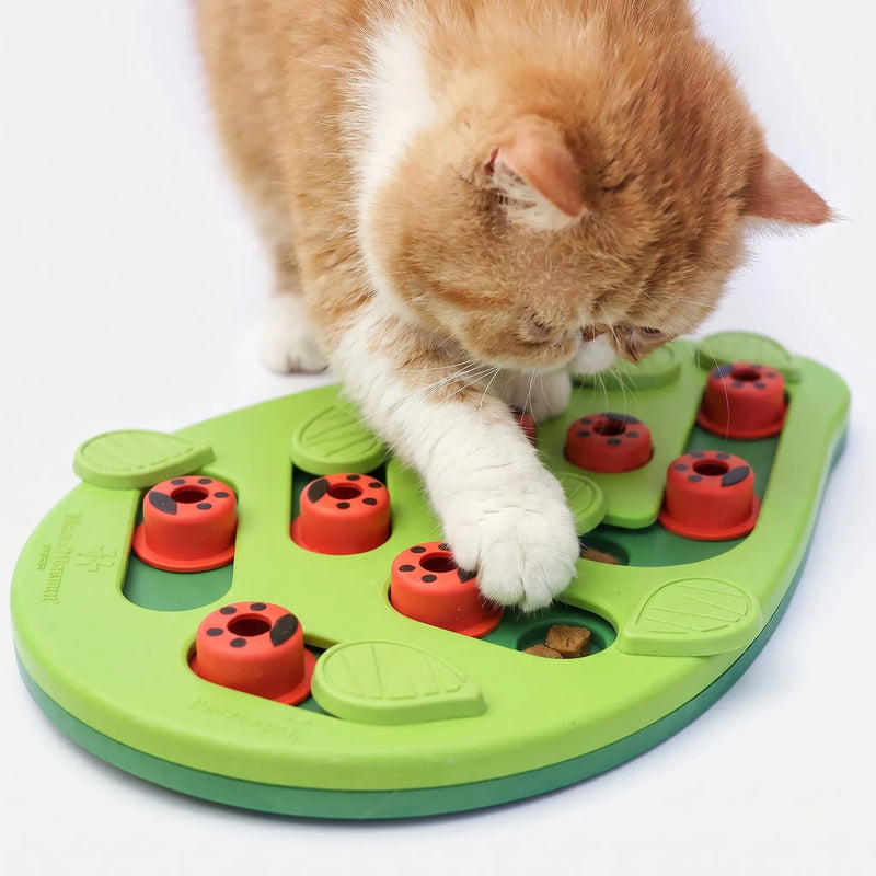 Interaktives Katzen-Beschäftigungspuzzle -  PawPuzzle