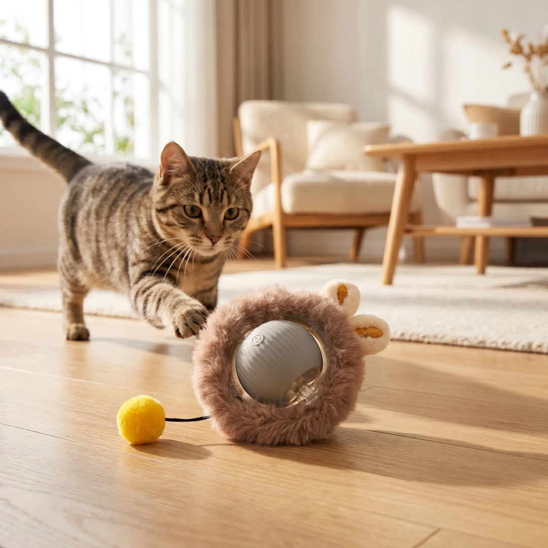 Interaktives Katzenspielzeug -  Chasebot