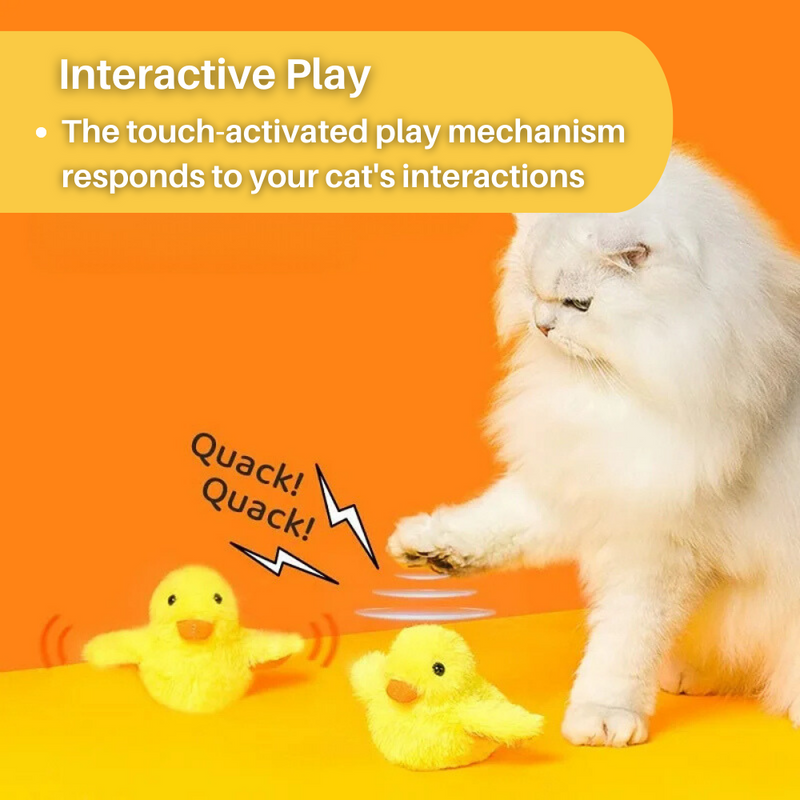 Interaktives Katzenspielzeug -  Flappix