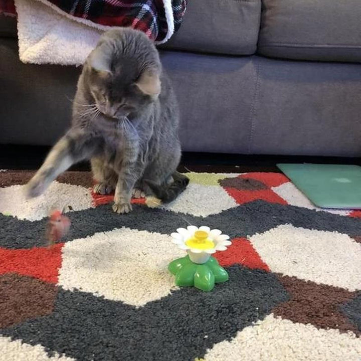 Interaktives Katzenspielzeug -  Flittero