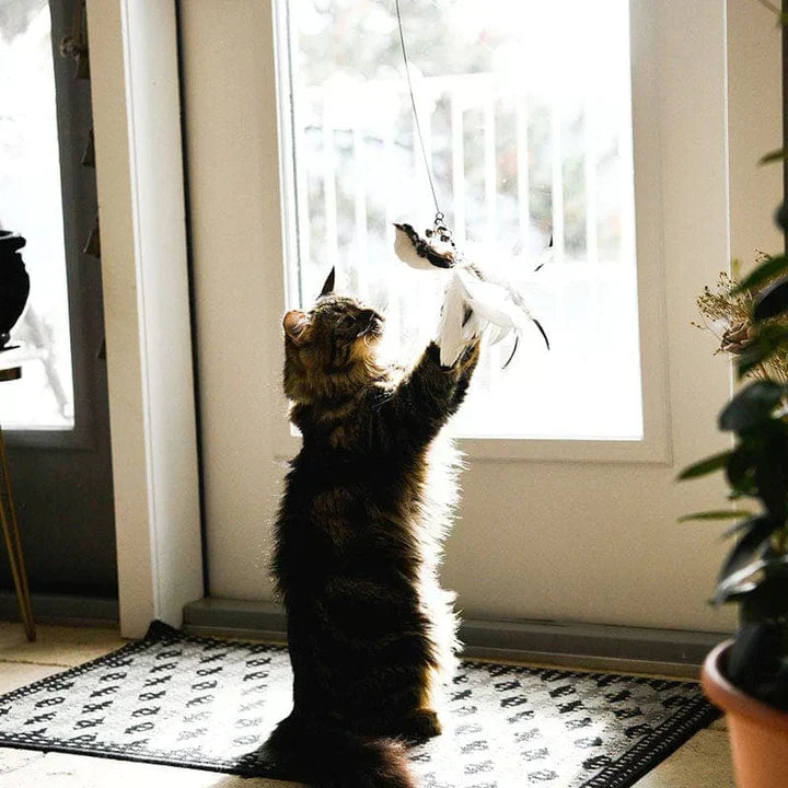 Interaktives Katzenspielzeug -  Volaero