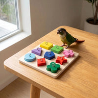Interaktives Vogelspielzeug -  AvianQ