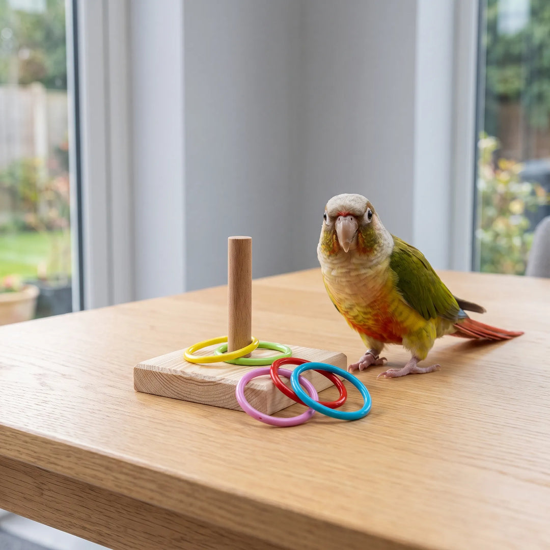 Interaktives Vogelspielzeug -  RingToss