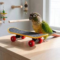 Interaktives Vogelspielzeug -  SkateBeak